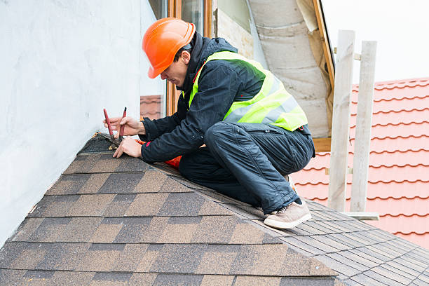 Best Roof Waterproofing Services  in Berkley, MI